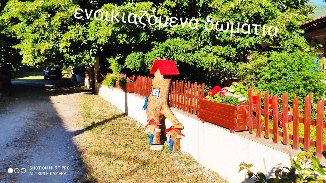 Βίλα Κατερίνα - Villa Katerina Kókkinon Nerón Esterno foto
