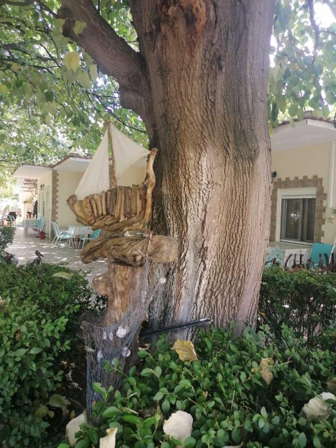 Βίλα Κατερίνα - Villa Katerina Kókkinon Nerón Esterno foto
